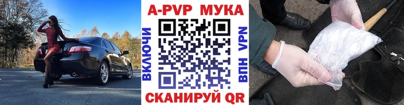 где можно купить   Терек  APVP СК 
