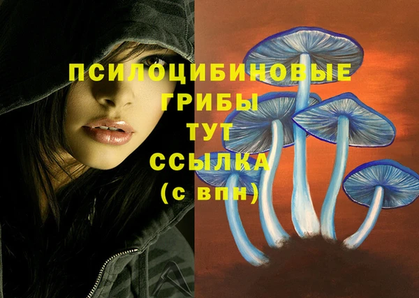 мяу мяу кристалл Медногорск