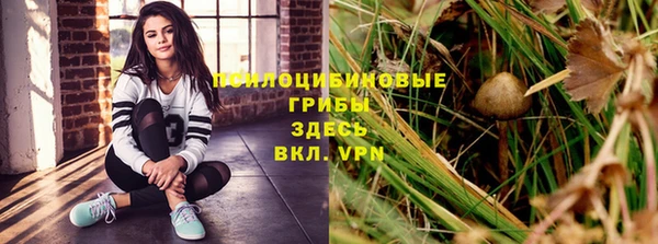 стаф Майский