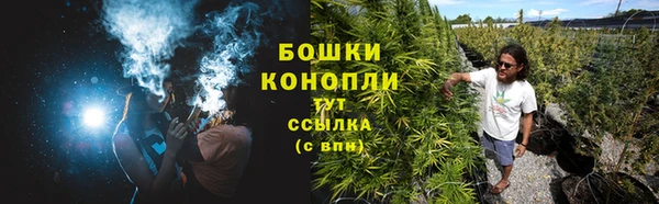 крисы Магас