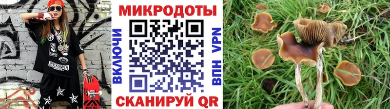Псилоцибиновые грибы прущие грибы  Терек 